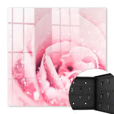 Délice de rose aux gouttes de rosée