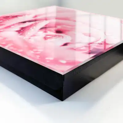 Délice de rose aux gouttes de rosée