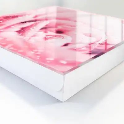 Délice de rose aux gouttes de rosée