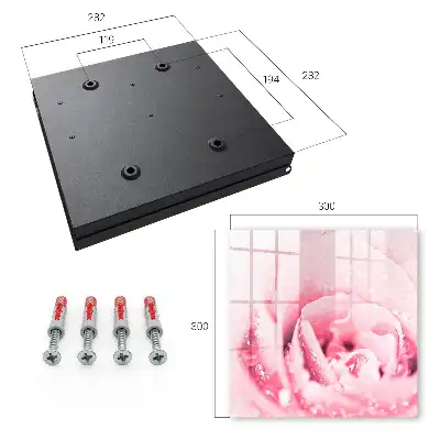 Délice de rose aux gouttes de rosée