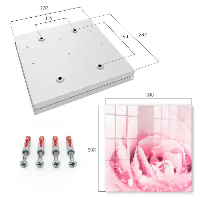 Délice de rose aux gouttes de rosée
