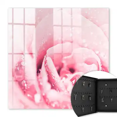 Délice de rose aux gouttes de rosée