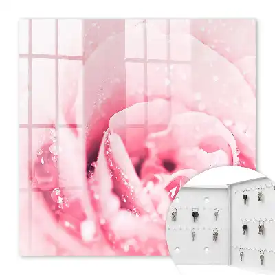 Délice de rose aux gouttes de rosée