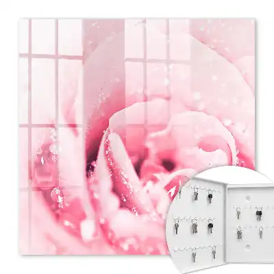 Délice de rose aux gouttes de rosée