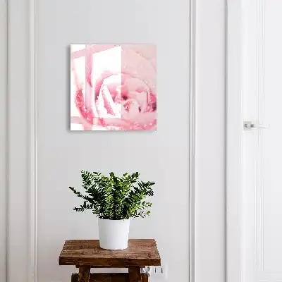 Délice de rose aux gouttes de rosée