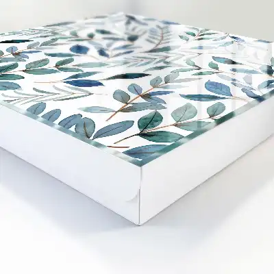 Aquarelles de plantes sur fond blanc