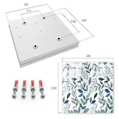 Aquarelles de plantes sur fond blanc