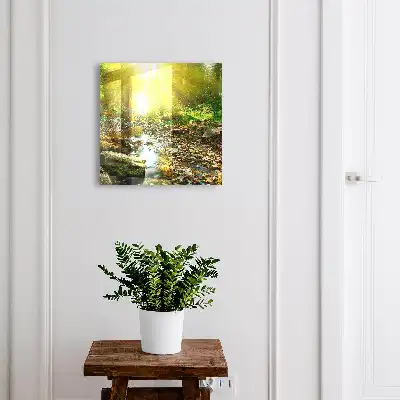 Ruisseau forestier