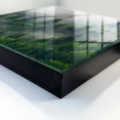 Forêt brumeuse à l'atmosphère mystérieuse