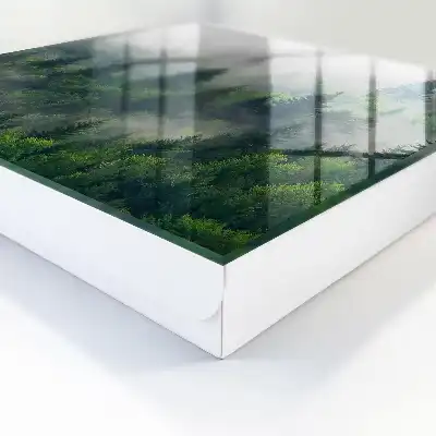 Forêt brumeuse à l'atmosphère mystérieuse