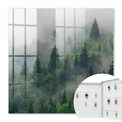 Forêt brumeuse à l'atmosphère mystérieuse