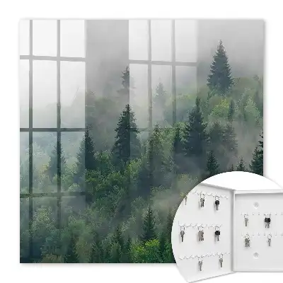 Forêt brumeuse à l'atmosphère mystérieuse