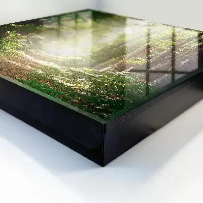 Paysage forestier avec arbres verts