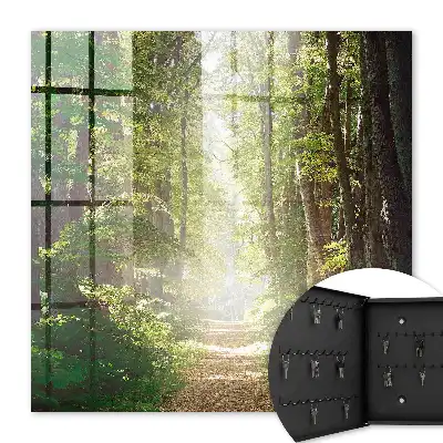 Paysage forestier avec arbres verts