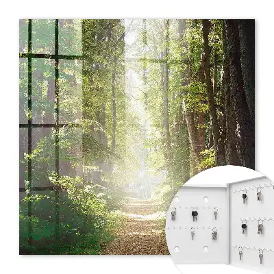 Paysage forestier avec arbres verts