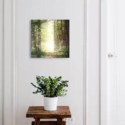 Paysage forestier avec arbres verts