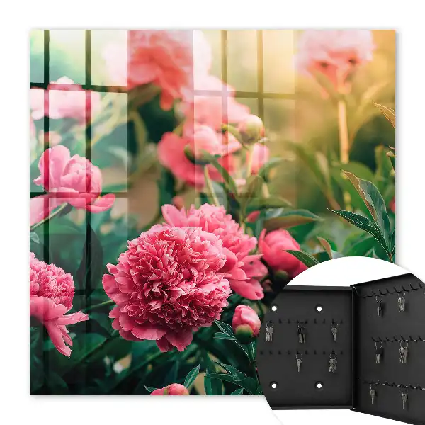 Pivoines roses dans un cadre naturel