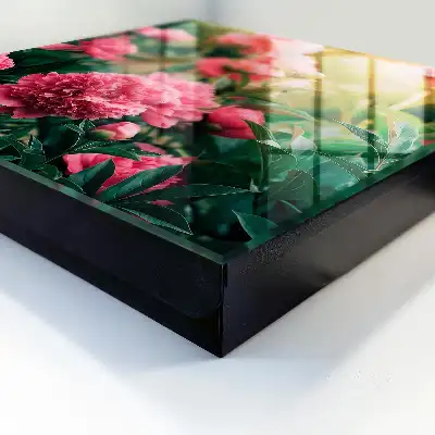 Pivoines roses dans un cadre naturel