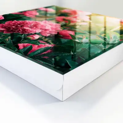 Pivoines roses dans un cadre naturel