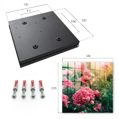 Pivoines roses dans un cadre naturel