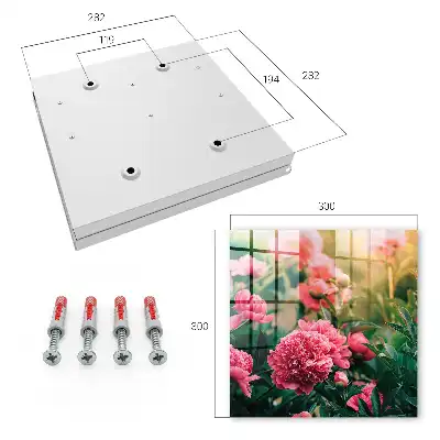 Pivoines roses dans un cadre naturel