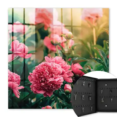 Pivoines roses dans un cadre naturel