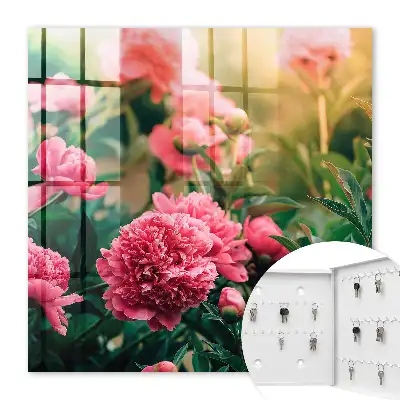 Pivoines roses dans un cadre naturel
