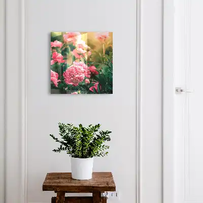 Pivoines roses dans un cadre naturel