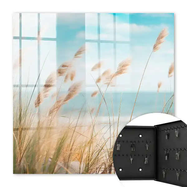 Plage d'été avec herbes marines