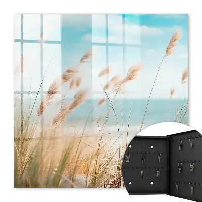 Plage d'été avec herbes marines