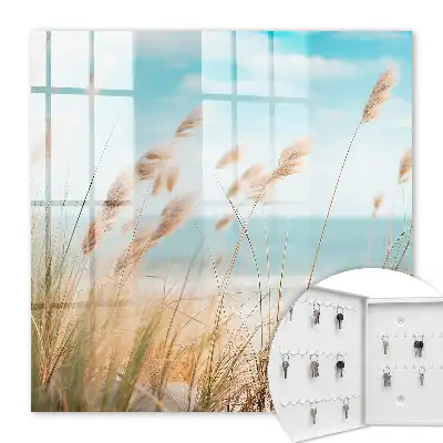 Plage d'été avec herbes marines