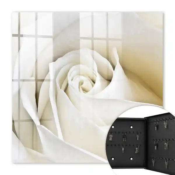 Rose blanche aux pétales délicats