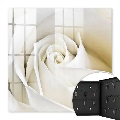 Rose blanche aux pétales délicats