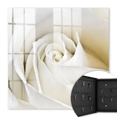 Rose blanche aux pétales délicats