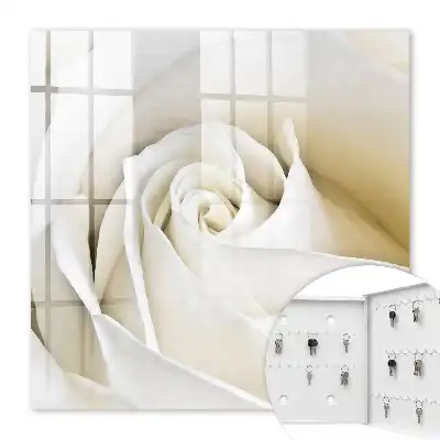 Rose blanche aux pétales délicats