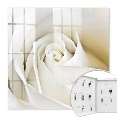 Rose blanche aux pétales délicats