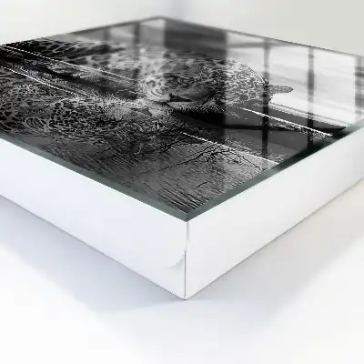 Tableau de jaguars dans l'eau en noir et blanc