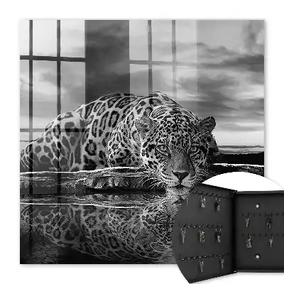 Tableau de jaguars dans l'eau en noir et blanc