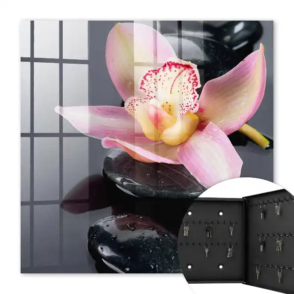Orchidée pierres noires