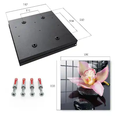 Orchidée pierres noires