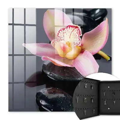 Orchidée pierres noires