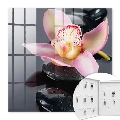 Orchidée pierres noires