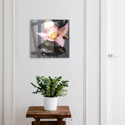Orchidée pierres noires