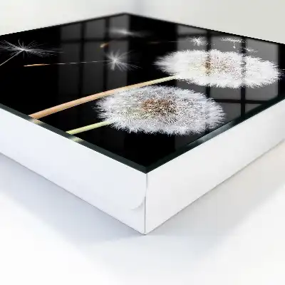 Pissenlits délicats sans pointe