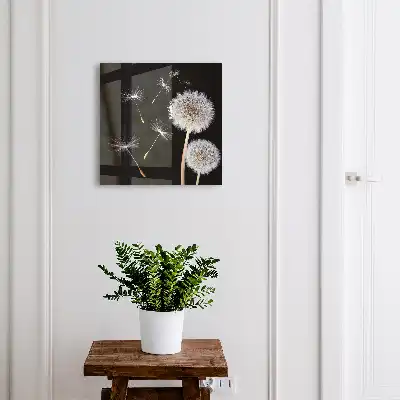 Pissenlits délicats sans pointe