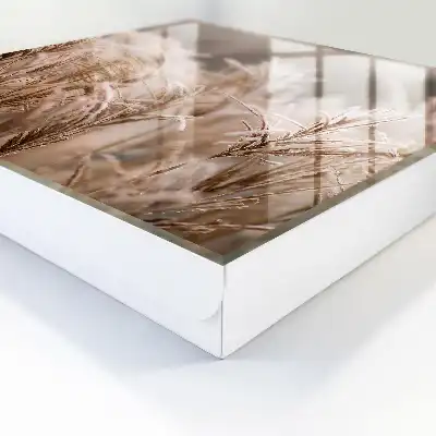 Herbe givrée aux teintes chaudes