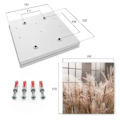 Herbe givrée aux teintes chaudes
