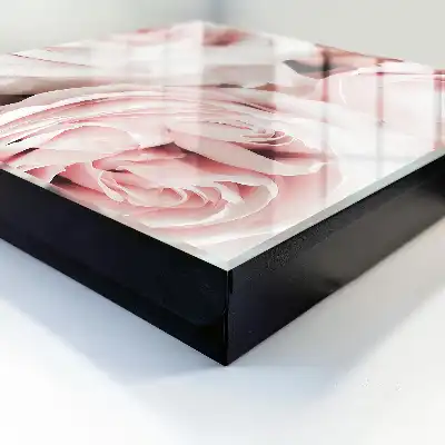 Nuances pastel de rose