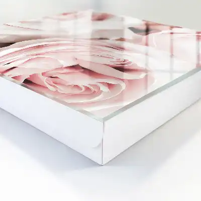 Nuances pastel de rose