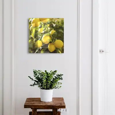Feuilles vertes fraîches et juteuses